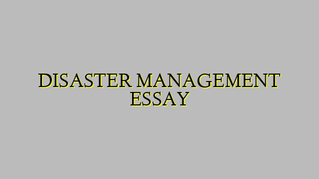 DISASTER MANAGEMENT ESSAY