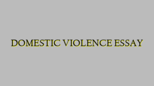 DOMESTIC VIOLENCE ESSAY