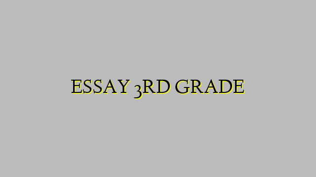 ESSAY 3RD GRADE