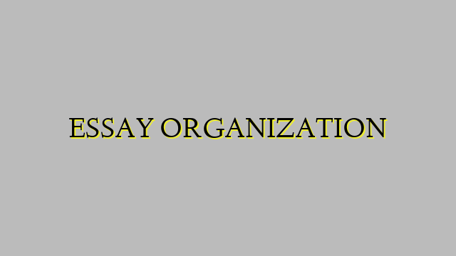 ESSAY ORGANIZATION
