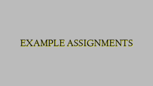 EXAMPLE ASSIGNMENTS