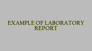 EXAMPLE OF LABORATORY REPORT