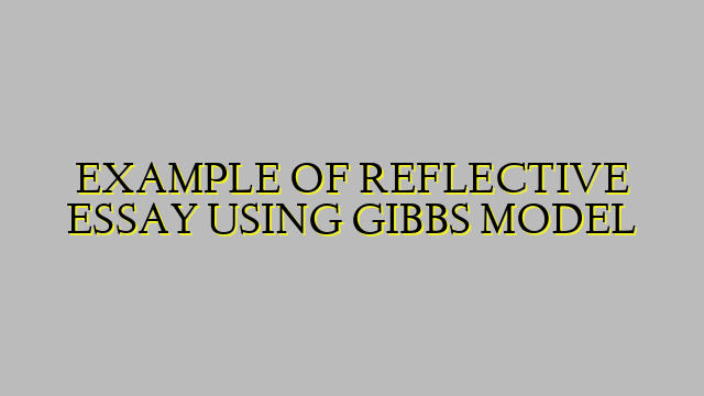 EXAMPLE OF REFLECTIVE ESSAY USING GIBBS MODEL