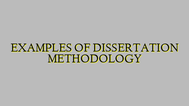 EXAMPLES OF DISSERTATION METHODOLOGY