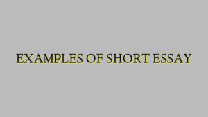 EXAMPLES OF SHORT ESSAY