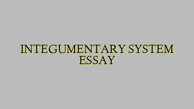 INTEGUMENTARY SYSTEM ESSAY