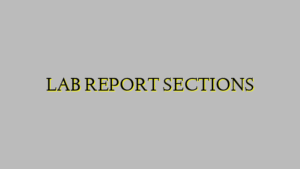 LAB REPORT SECTIONS