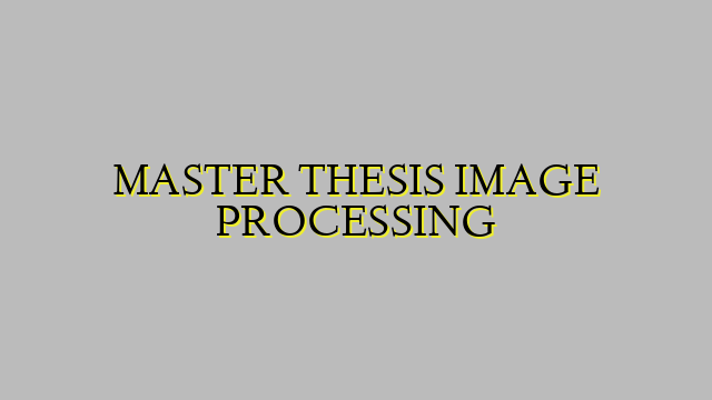 MASTER THESIS IMAGE PROCESSING
