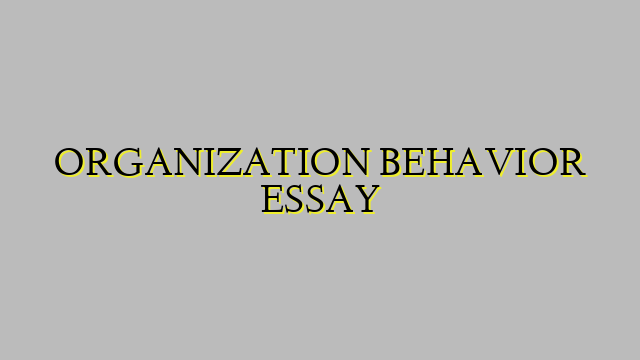 ORGANIZATION BEHAVIOR ESSAY
