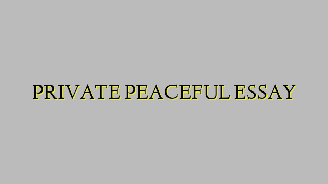 PRIVATE PEACEFUL ESSAY