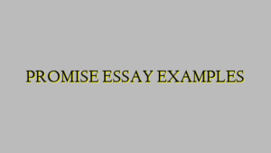 PROMISE ESSAY EXAMPLES