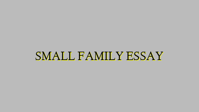 SMALL FAMILY ESSAY