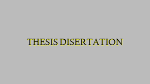 THESIS DISERTATION