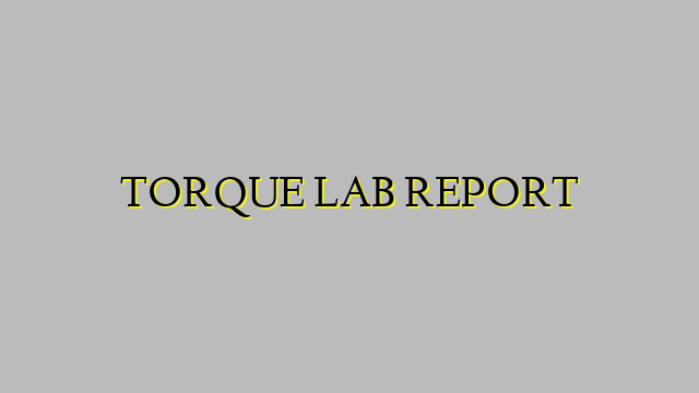 TORQUE LAB REPORT