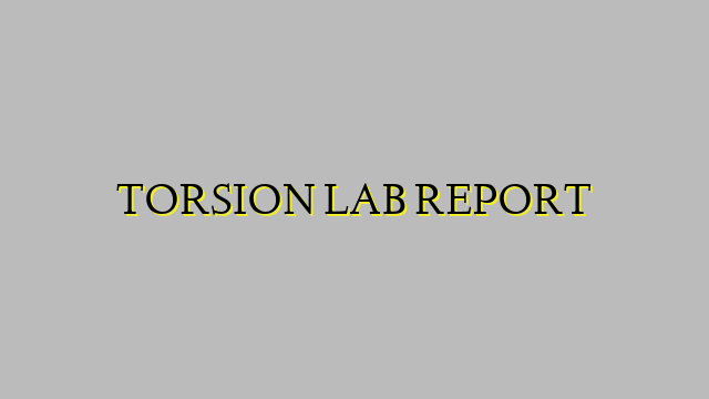 TORSION LAB REPORT
