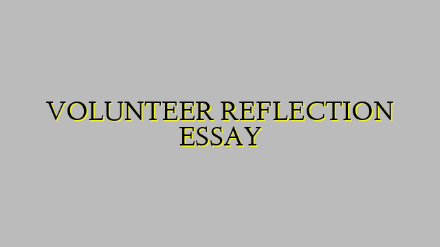 VOLUNTEER REFLECTION ESSAY
