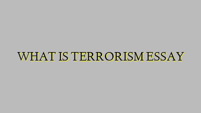 WHAT IS TERRORISM ESSAY